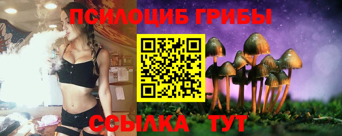 что такое наркотик  Галлюциногенные грибы GOLDEN TEACHER  Вход с VPN  Курчалой 