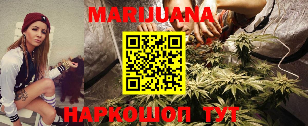 МАРИХУАНА OG Kush Курчалой
